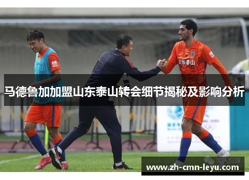 马德鲁加加盟山东泰山转会细节揭秘及影响分析 马德鲁加加盟山东泰山转会细节揭秘及影响分析