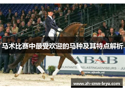 马术比赛中最受欢迎的马种及其特点解析