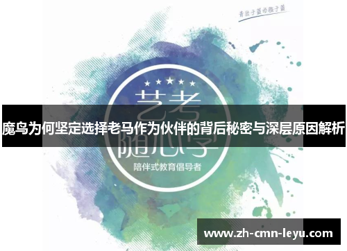 魔鸟为何坚定选择老马作为伙伴的背后秘密与深层原因解析