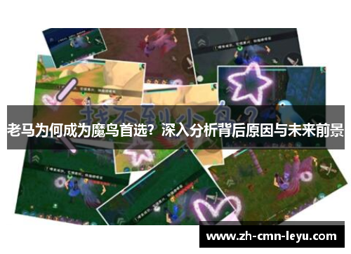 老马为何成为魔鸟首选？深入分析背后原因与未来前景