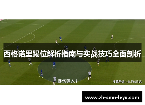 西格诺里踢位解析指南与实战技巧全面剖析 西格诺里踢位解析指南与实战技巧全面剖析